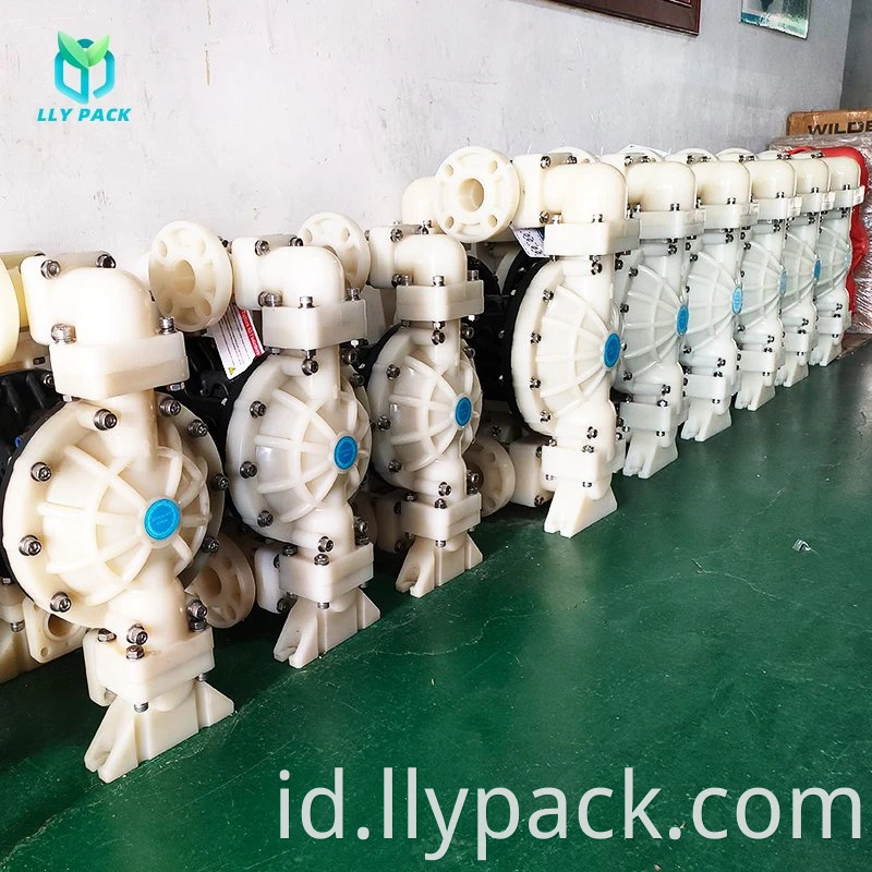 Double Diaphragm Pump